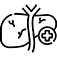 Hepatology